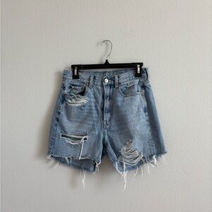 American Eagle Outfitters Light Blue Distressed Jean Shorts